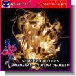 GATAGE23101205: Luces de Navidad: Serie de 100 Luces Cortina de Hielo